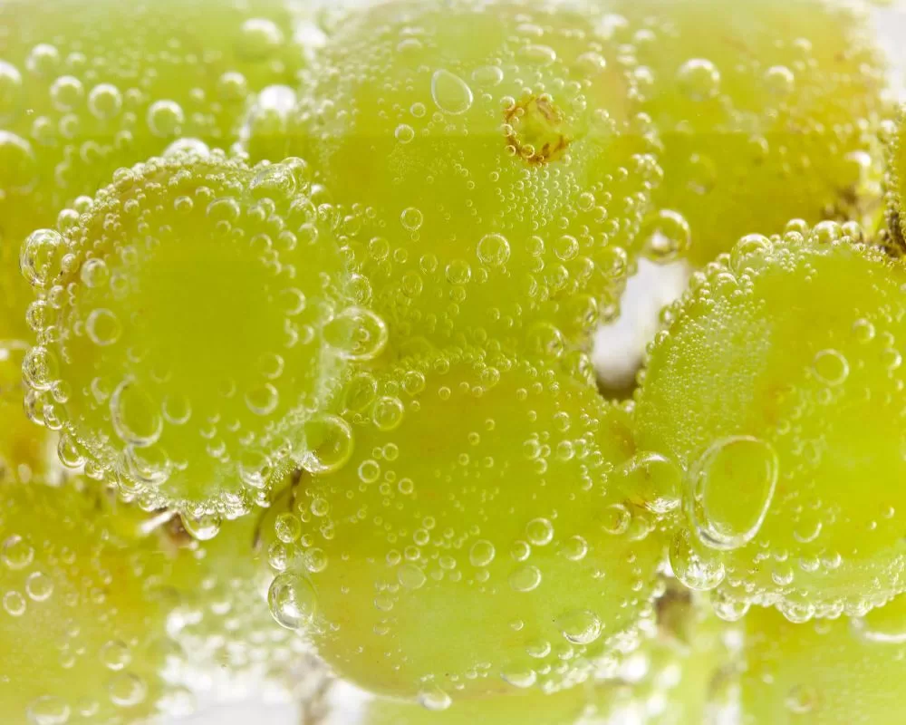 Green grapes submerged in water undergoing a carbonation process to make them into fizzy grapes. The grapes are covered in bubbles.